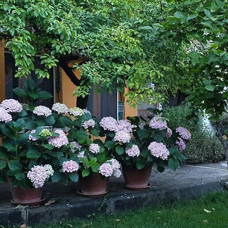 L'Antica Cantina Usini Экстерьер фото