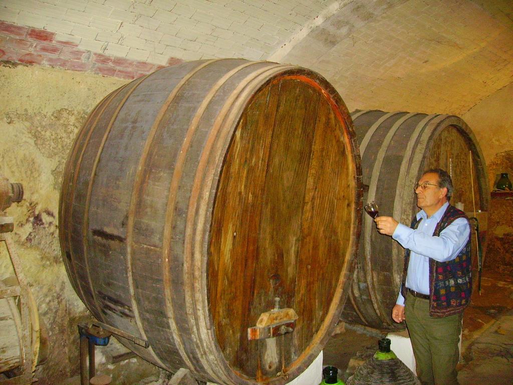 L'Antica Cantina Usini Номер фото