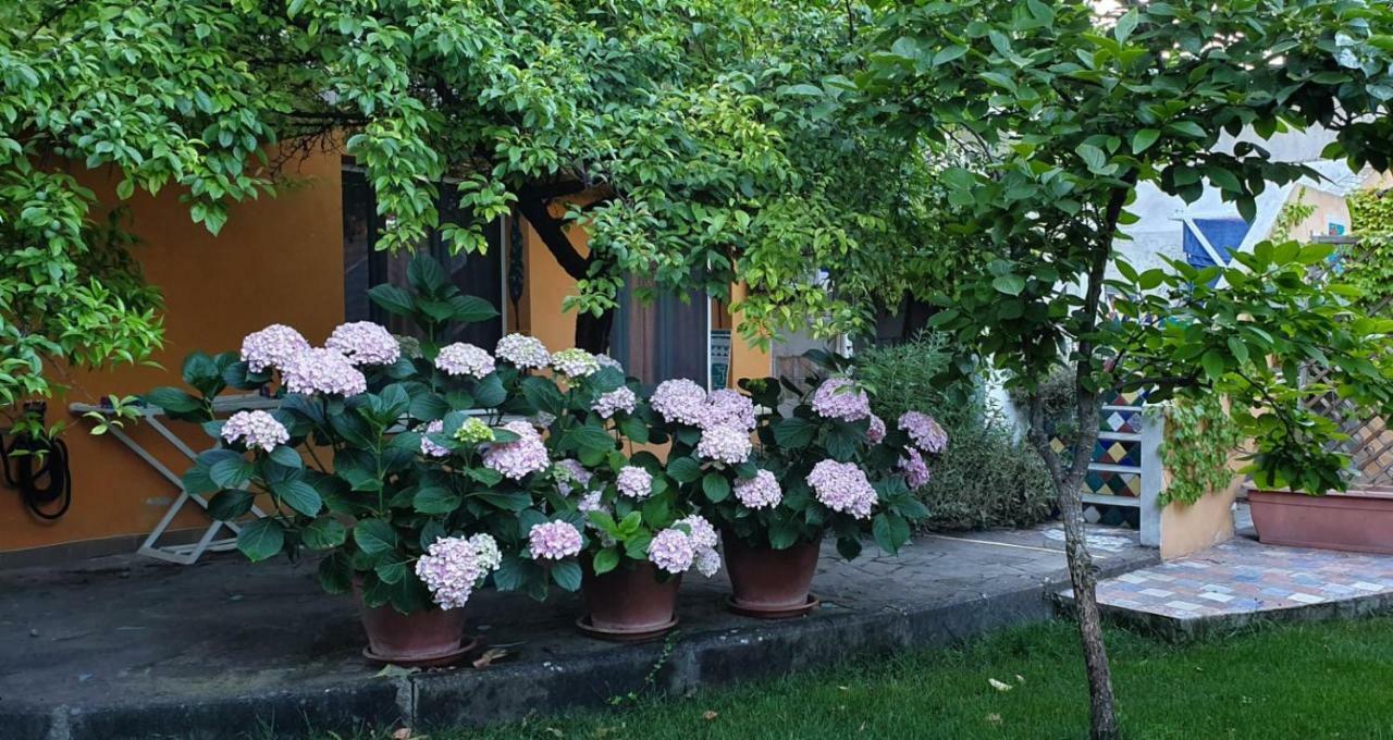 L'Antica Cantina Usini Экстерьер фото